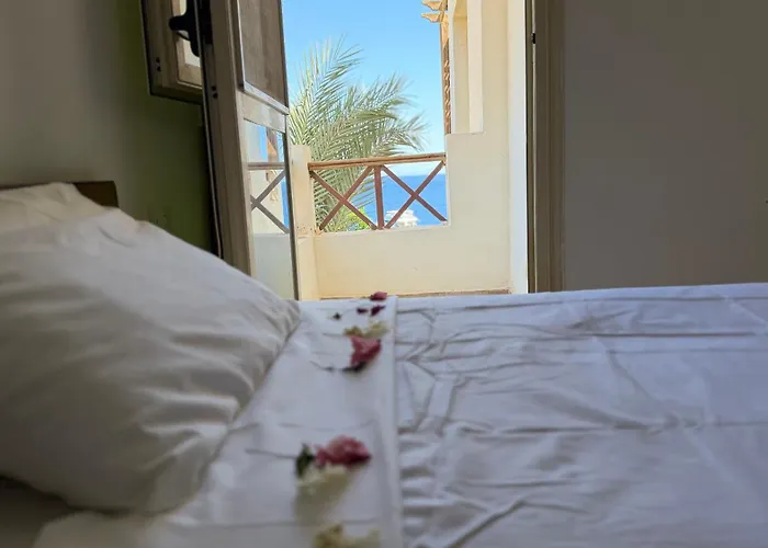 Sharks Bay Oasis شقة