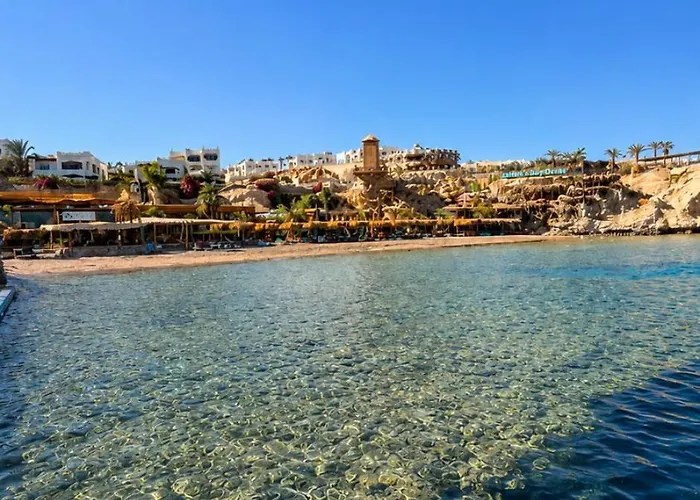 Sharks Bay Oasis شقة *